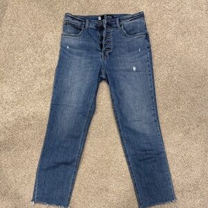 Kut from the Kloth Rachel Fab Ab Mom Jean